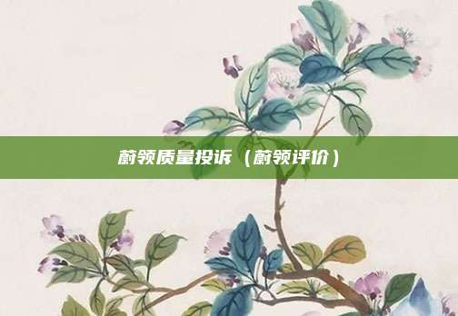 蔚领质量投诉（蔚领评价）