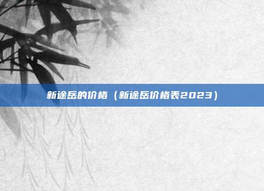 新途岳的价格（新途岳价格表2023）
