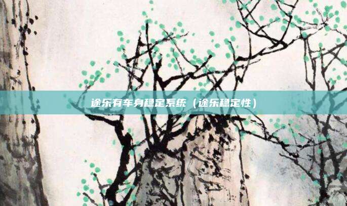 途乐有车身稳定系统（途乐稳定性）