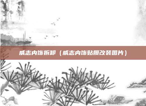 威志内饰拆卸(威志内饰贴膜改装图片)