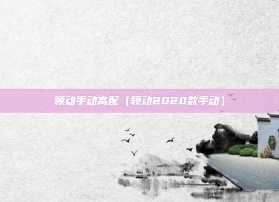 领动手动高配(领动2020款手动)