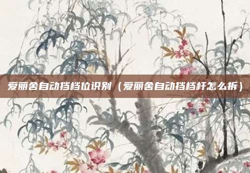 爱丽舍自动挡档位识别（爱丽舍自动挡档杆怎么拆）