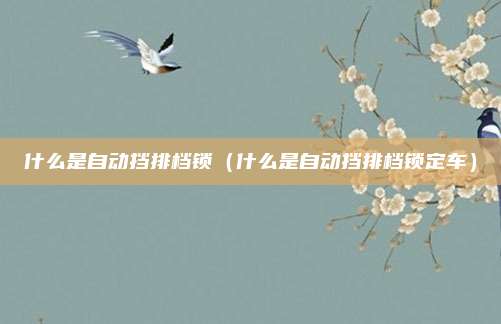 什么是自动挡排档锁（什么是自动挡排档锁定车）