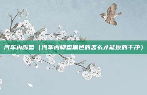 汽车内脚垫（汽车内脚垫黑色的怎么才能擦的干净）