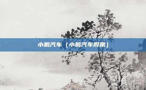 小鹏汽车（小鹏汽车股票）