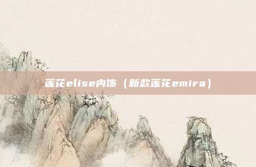 莲花elise内饰（新款莲花emira）