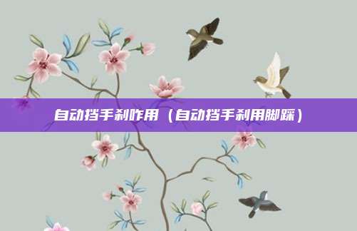 自动挡手刹咋用（自动挡手刹用脚踩）