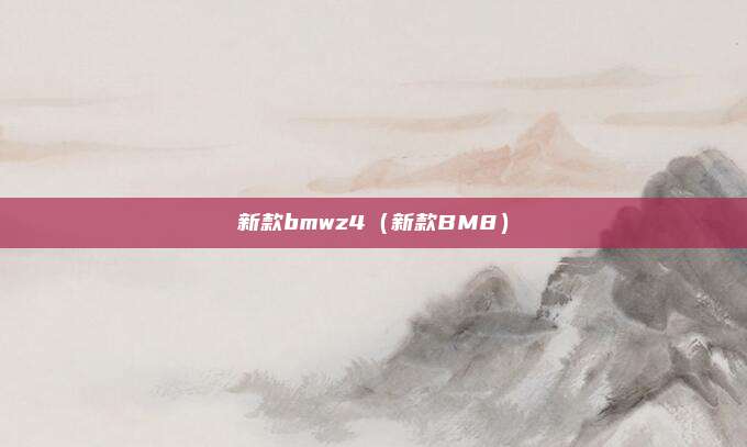 新款bmwz4(新款BM8)