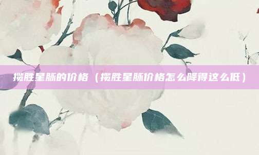 揽胜星脉的价格(揽胜星脉价格怎么降得这么低)