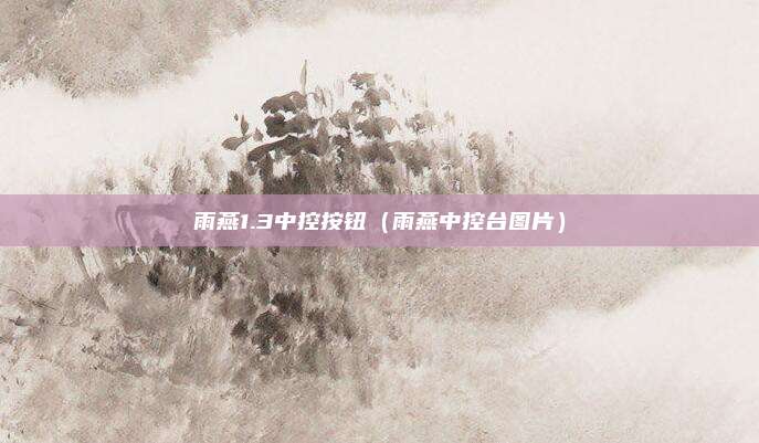 雨燕1.3中控按钮（雨燕中控台图片）