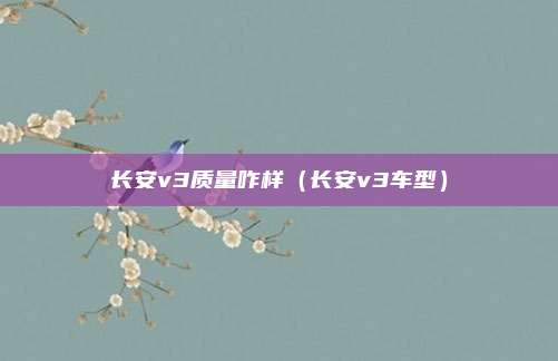 长安v3质量咋样（长安v3车型）