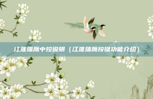 江淮瑞鹰中控说明(江淮瑞鹰按键功能介绍)