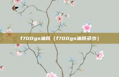 f700gs油耗（f700gs油耗多少）