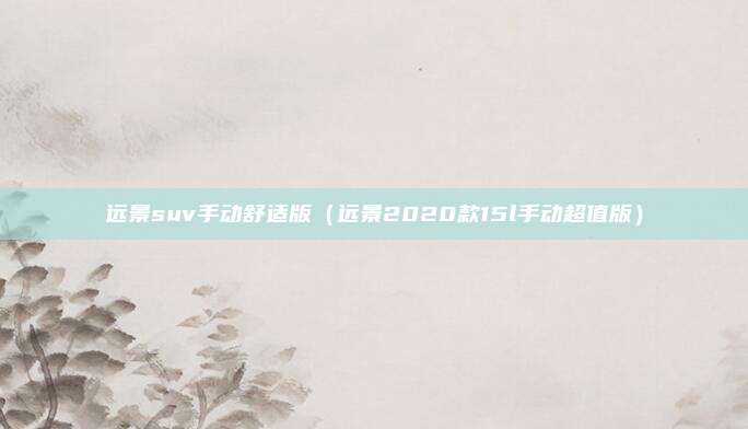 远景suv手动舒适版（远景2020款15l手动超值版）