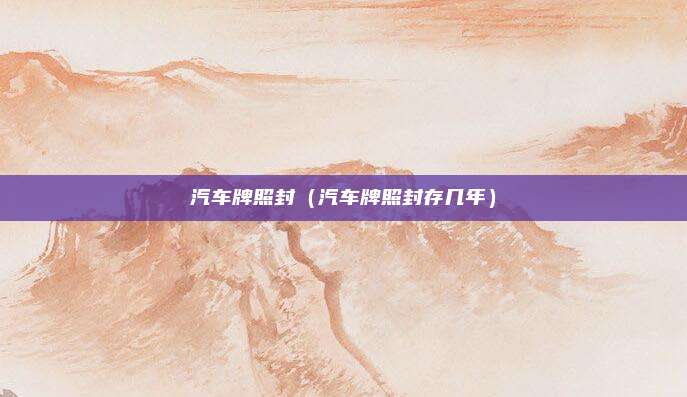 汽车牌照封(汽车牌照封存几年)