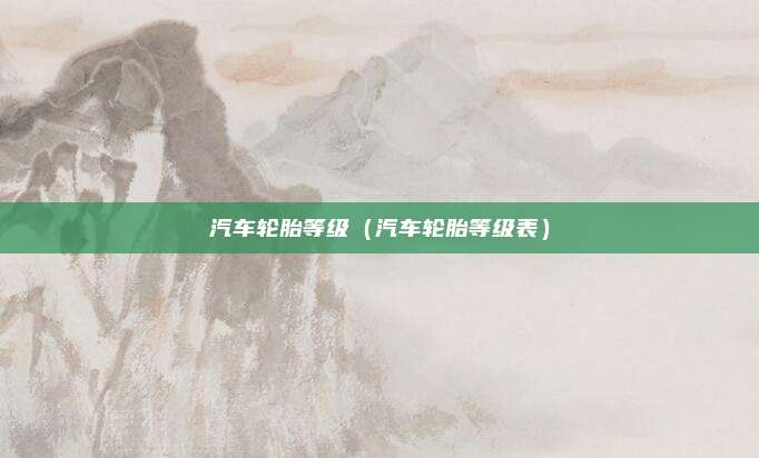 汽车轮胎等级（汽车轮胎等级表）