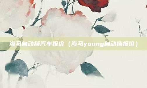 海马自动挡汽车报价(海马young自动挡报价)