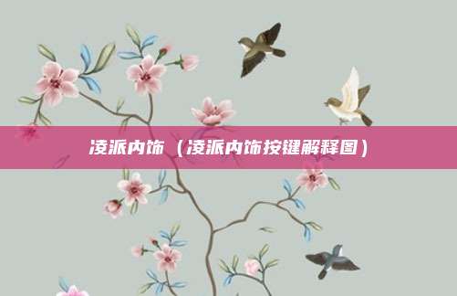 凌派内饰（凌派内饰按键解释图）
