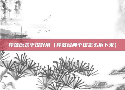 锋范原装中控好用（锋范经典中控怎么拆下来）