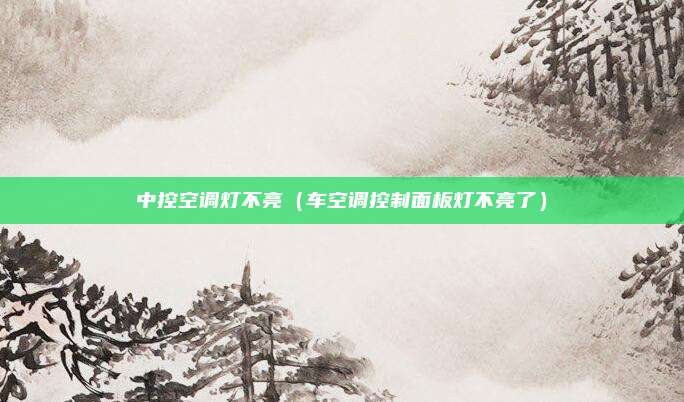 中控空调灯不亮（车空调控制面板灯不亮了）