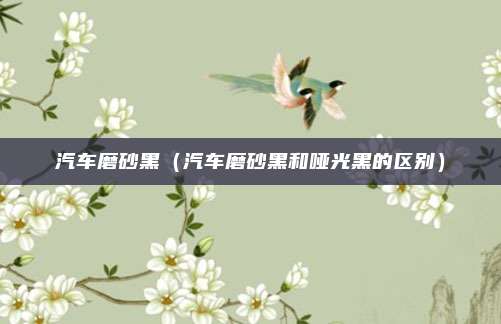 汽车磨砂黑(汽车磨砂黑和哑光黑的区别)