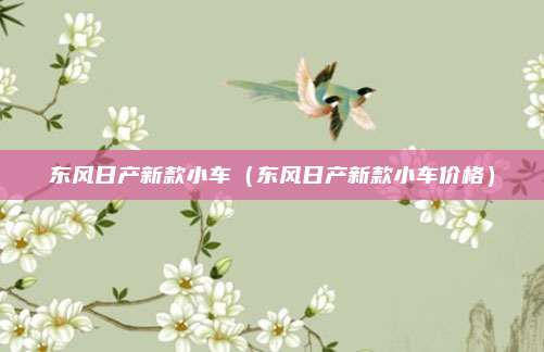 东风日产新款小车（东风日产新款小车价格）
