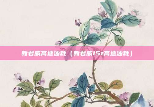 新君威高速油耗（新君威15t高速油耗）