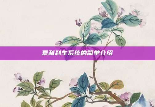 夏利刹车系统的简单介绍