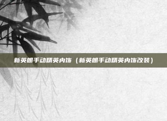 新英朗手动精英内饰（新英朗手动精英内饰改装）