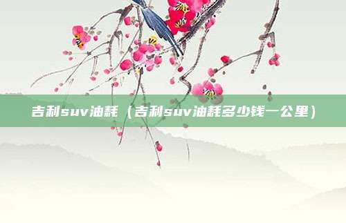 吉利suv油耗（吉利suv油耗多少钱一公里）