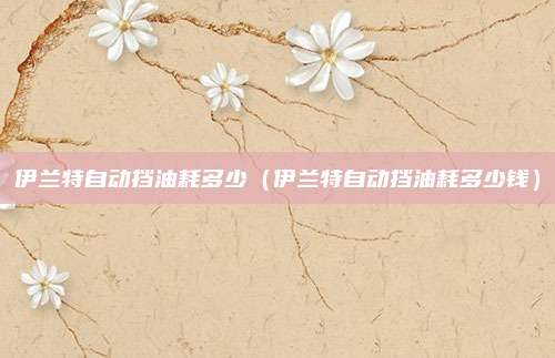 伊兰特自动挡油耗多少(伊兰特自动挡油耗多少钱)