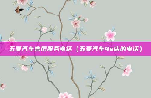 五菱汽车售后服务电话(五菱汽车4s店的电话)