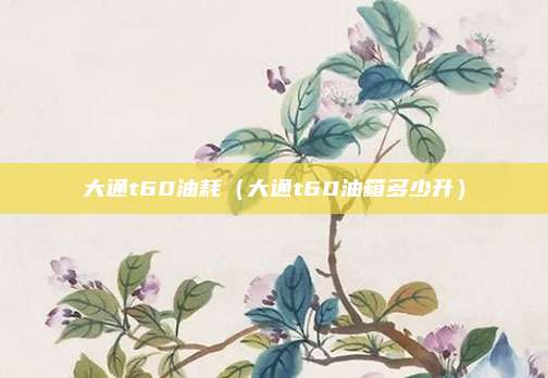 大通t60油耗(大通t60油箱多少升)
