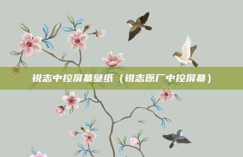 锐志中控屏幕壁纸（锐志原厂中控屏幕）