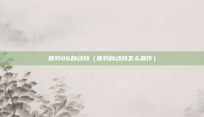 猎豹06自动挡（猎豹自动挡怎么操作）