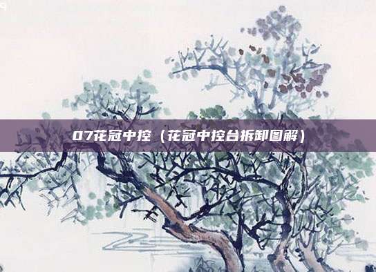 07花冠中控(花冠中控台拆卸图解)