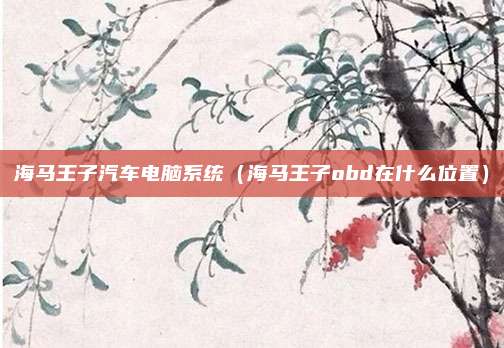海马王子汽车电脑系统（海马王子obd在什么位置）