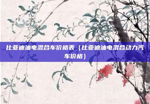 比亚迪油电混合车价格表（比亚迪油电混合动力汽车价格）