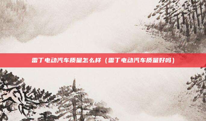 雷丁电动汽车质量怎么样（雷丁电动汽车质量好吗）