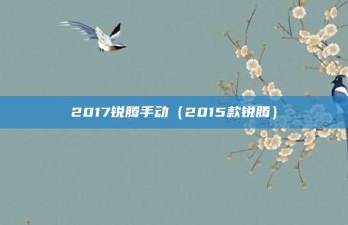 2017锐腾手动（2015款锐腾）