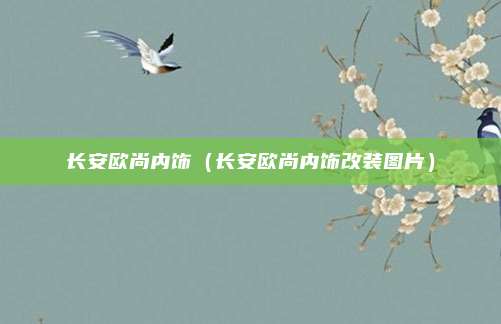 长安欧尚内饰（长安欧尚内饰改装图片）