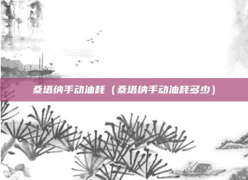 桑塔纳手动油耗（桑塔纳手动油耗多少）