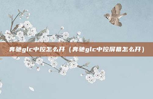 奔驰glc中控怎么开（奔驰glc中控屏幕怎么开）