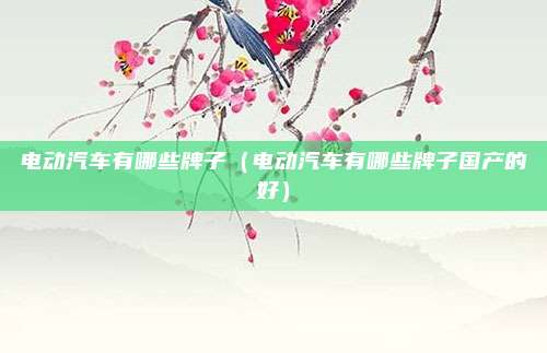 电动汽车有哪些牌子（电动汽车有哪些牌子国产的好）