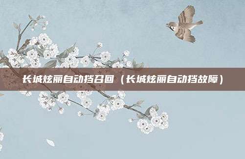 长城炫丽自动挡召回（长城炫丽自动挡故障）