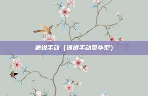 速锐手动（速锐手动豪华型）