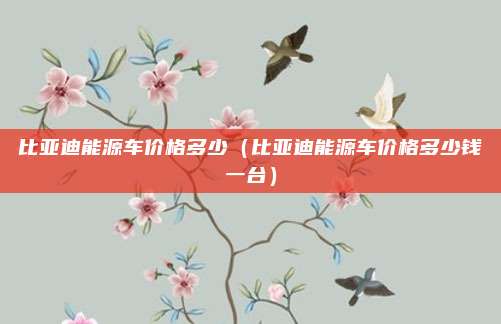 比亚迪能源车价格多少（比亚迪能源车价格多少钱一台）