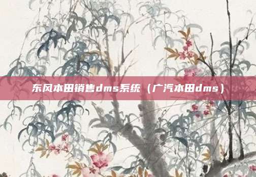 东风本田销售dms系统（广汽本田dms）