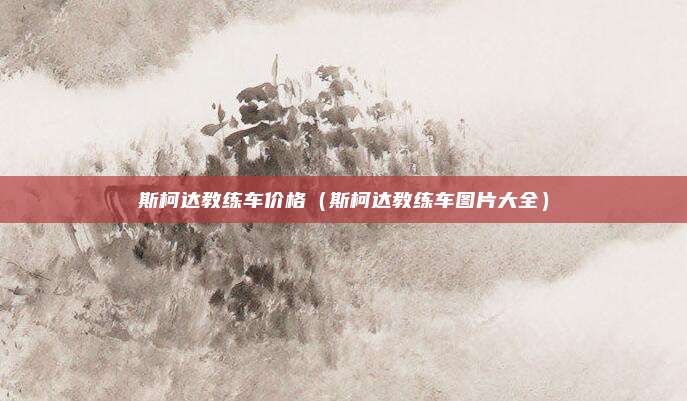 斯柯达教练车价格(斯柯达教练车图片大全)