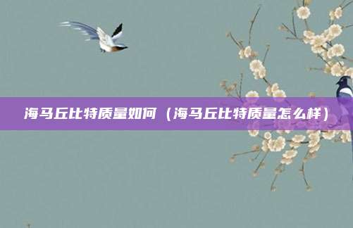 海马丘比特质量如何(海马丘比特质量怎么样)